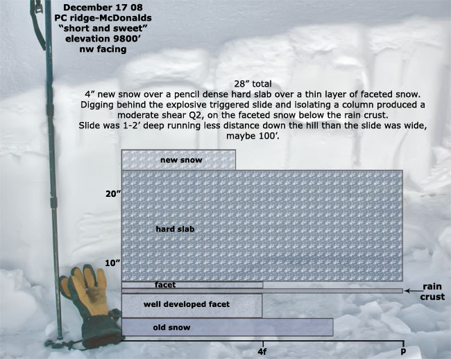 mcdonalds-snow-profile